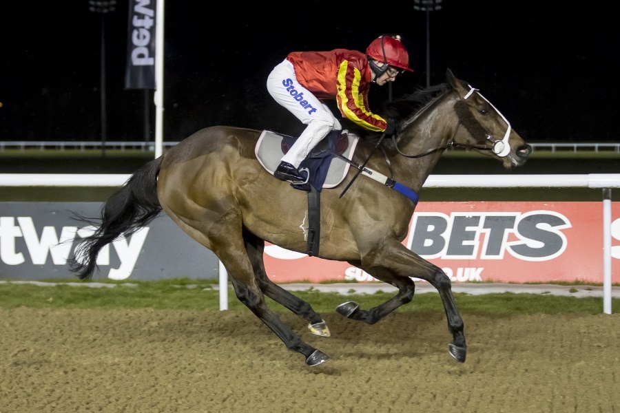 Three Winners This Week – Sunshineandbubbles The Latest