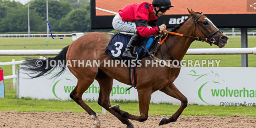 Peggie Sue Wins at Wolverhampton