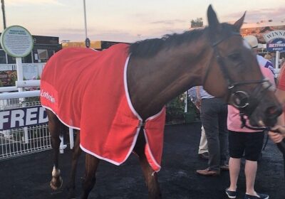 Two Winners for Multiplex