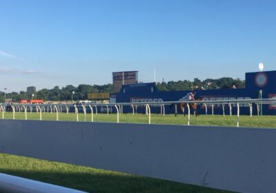 Two Multiplex Winners Today