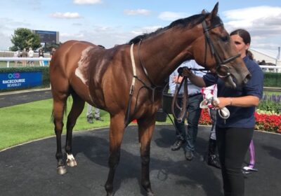 Heeraat Winner At Beverley for Tim Easterby