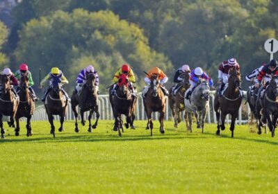 King Crimson Powers Home at Leicester