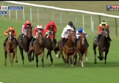 Debut Winner Bought from Mickley Stud