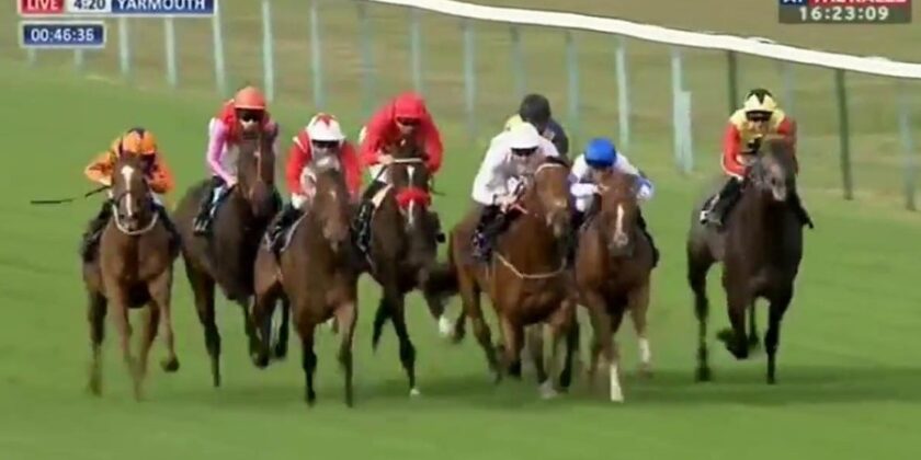 Debut Winner Bought from Mickley Stud