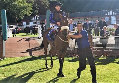 Bargain Buy Wins At Big Odds!