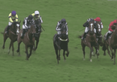 HOUSE ISLAND CLEANS UP AT NEWBURY