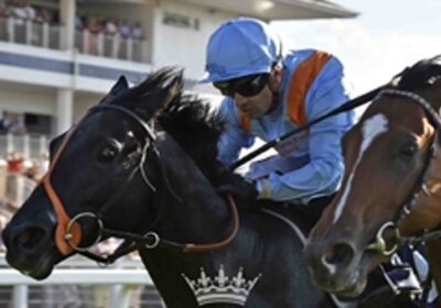 Magical Wish – All You Could Wish For!