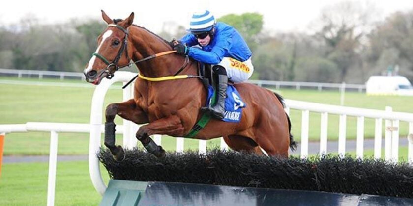 CENOTICE Wins at Ballinrobe
