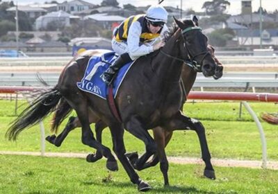 Another International Winner from Down Under