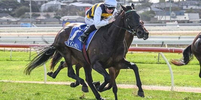 Another International Winner from Down Under
