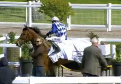 Swedish Winner For Heeraat!