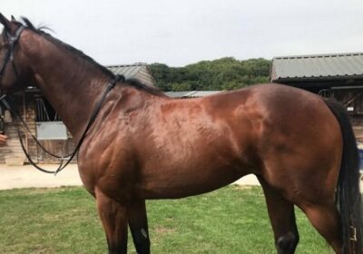 Heeraat 3yo Lands The Spoils at Southwell