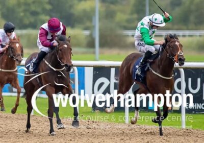 Foundation Broodmare Gagajulu Has Another Winner