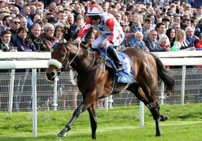 Listed Winner at Newmarket by Heeraat