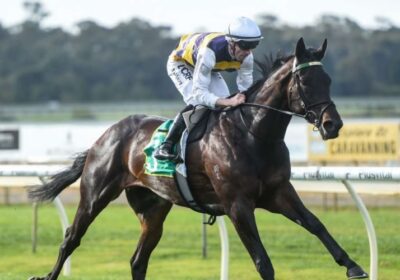 Five Wins for Mickley Star in Australia