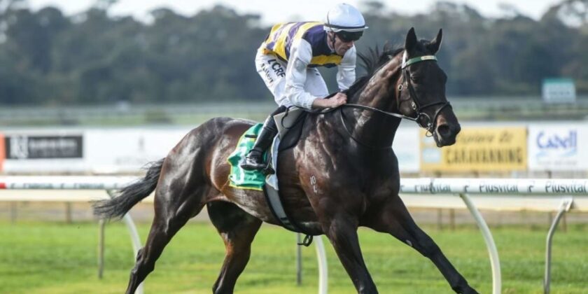 Five Wins for Mickley Star in Australia