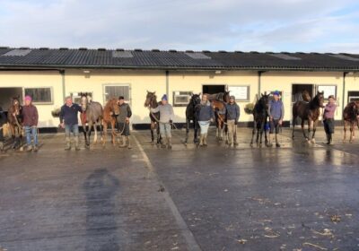 £100,000 Colt Sold by Mickley Stud!