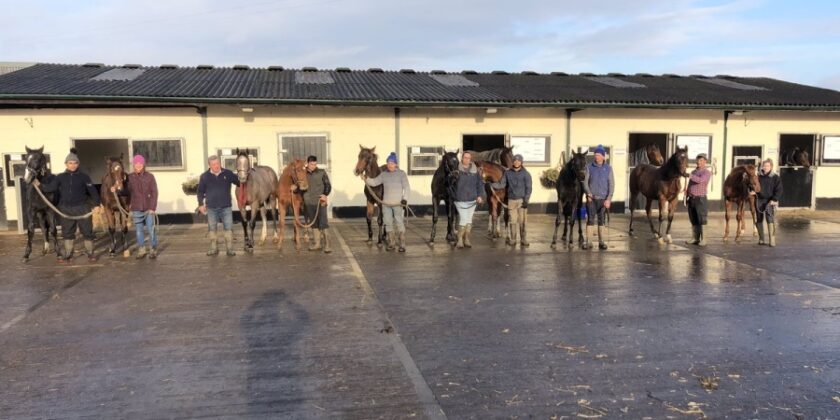 £100,000 Colt Sold by Mickley Stud!