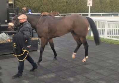 Successful Son of Madam Mojito