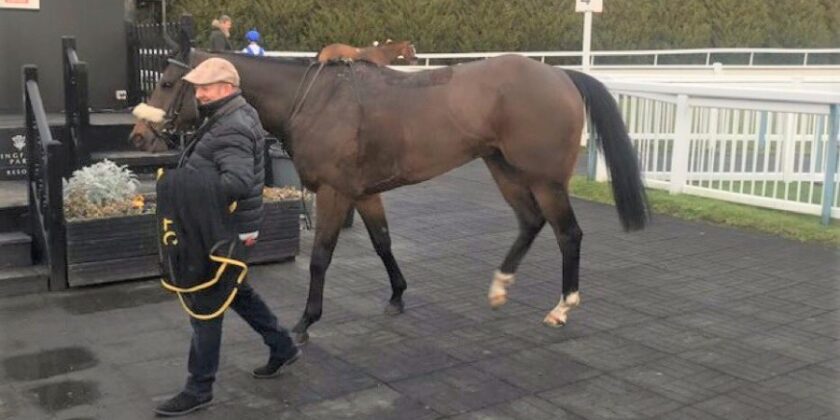 Successful Son of Madam Mojito