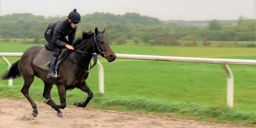 Valentines Day Double for HEERAAT!