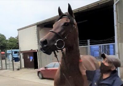Liberty Beach 3rd at Royal Ascot