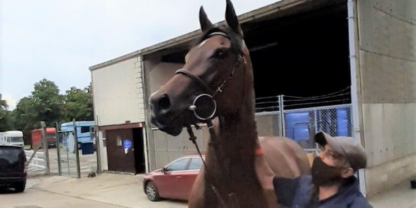 Liberty Beach 3rd at Royal Ascot