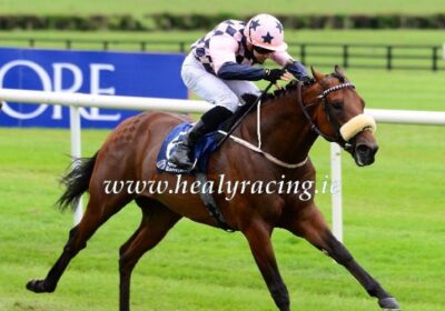 Mickley-Consigned Foal Turbo Spirit Wins at Naas
