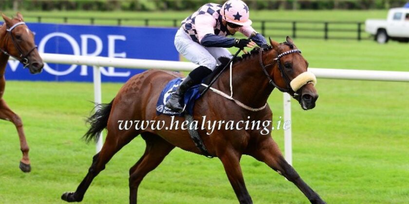 Mickley-Consigned Foal Turbo Spirit Wins at Naas