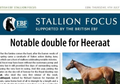 Heeraat Is EBF Stallion of The Month