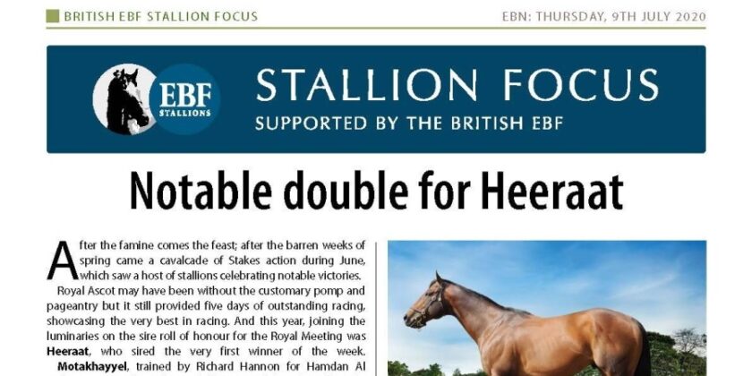Heeraat Is EBF Stallion of The Month