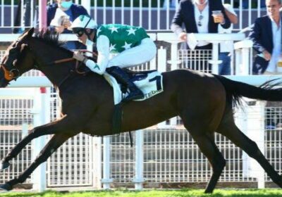 First Graded-Placed Performer for YORGUNNABELUCKY