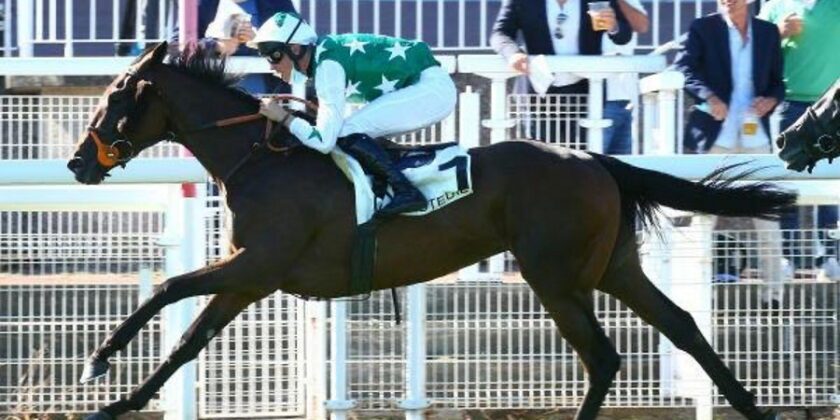 First Graded-Placed Performer for YORGUNNABELUCKY
