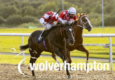 Cuban Breeze Wins Again!