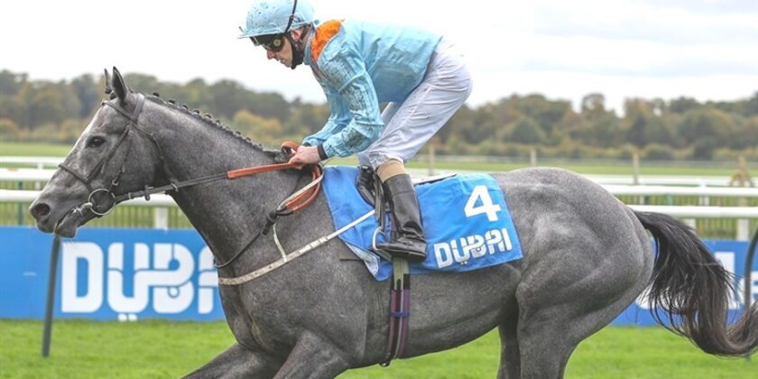 Mark Johnston Winner at Ayr