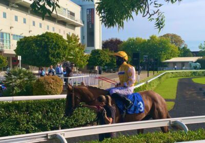 Mickley Stud Orby Graduate Wins at Kempton