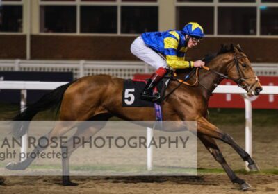 Silver Sale Graduate Wins on 2nd Start