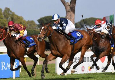 International Stakes Win and Gr2 Place from Mickley