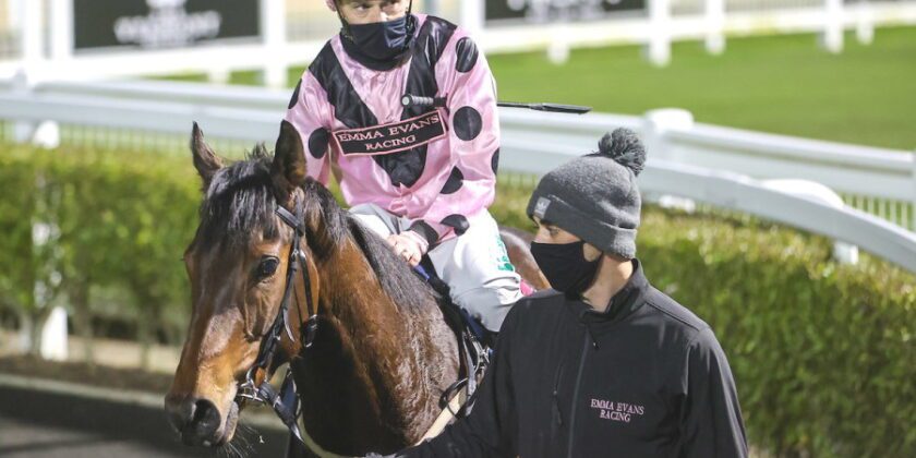 Three Mickley-bred Winners Today