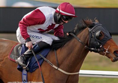 A Double On The Day for Mickley Stallion Heeraat!