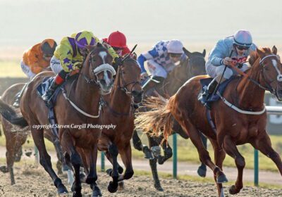 Flat Winner at Lingfield for Yorgunnabelucky
