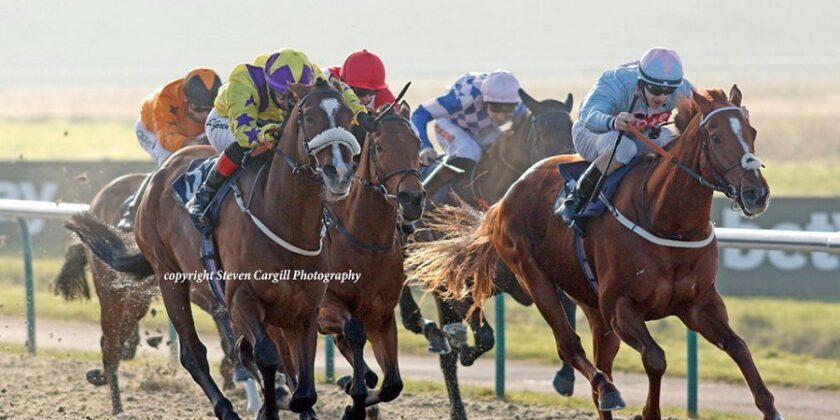 Flat Winner at Lingfield for Yorgunnabelucky