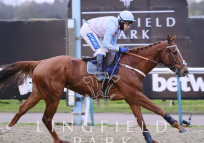 Ninth Win for Yorgunnabelucky Gelding!