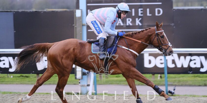 Ninth Win for Yorgunnabelucky Gelding!