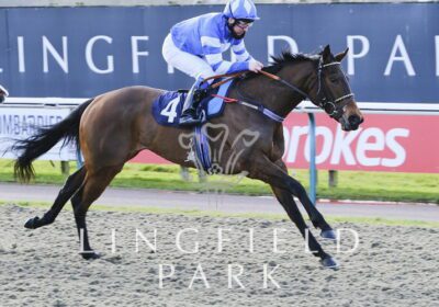 Heeraat Filly Is All Speed!