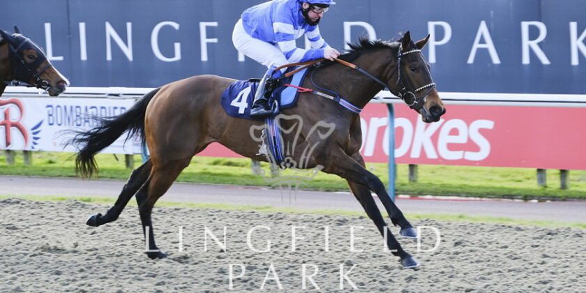 Heeraat Filly Is All Speed!