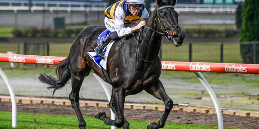 Mickley Winner Down Under