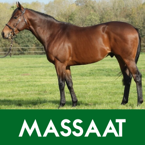 MASSAAT