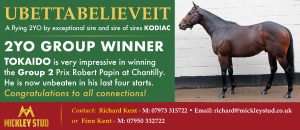 Advertising banner for Mickley Stud announcing a 2YO group winner, featuring a dark brown horse standing by a white wall on the right.