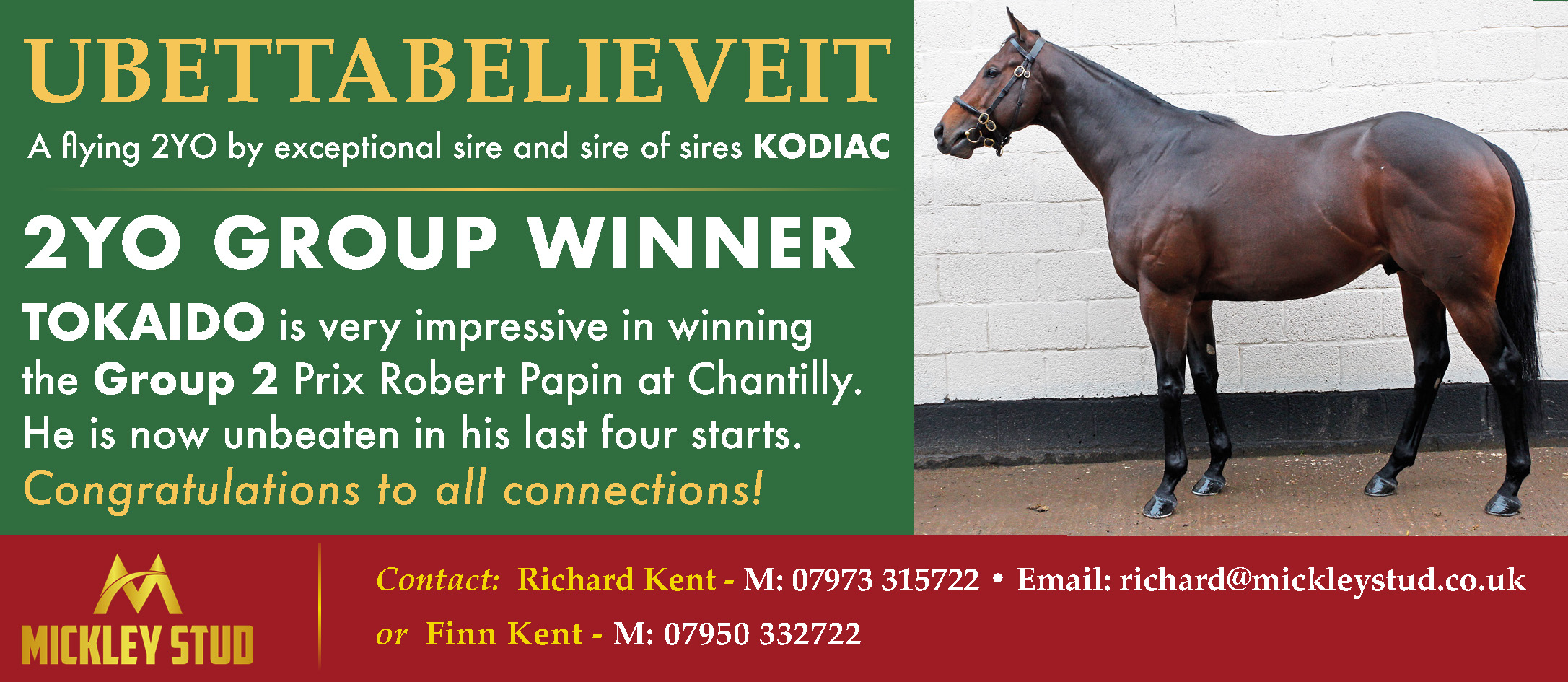 Advertising banner for Mickley Stud announcing a 2YO group winner, featuring a dark brown horse standing by a white wall on the right.